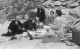 McArthur, Wilford Woodruff picnic on Red Hill McArthur, Wilford Woodruff picnic on Red Hill